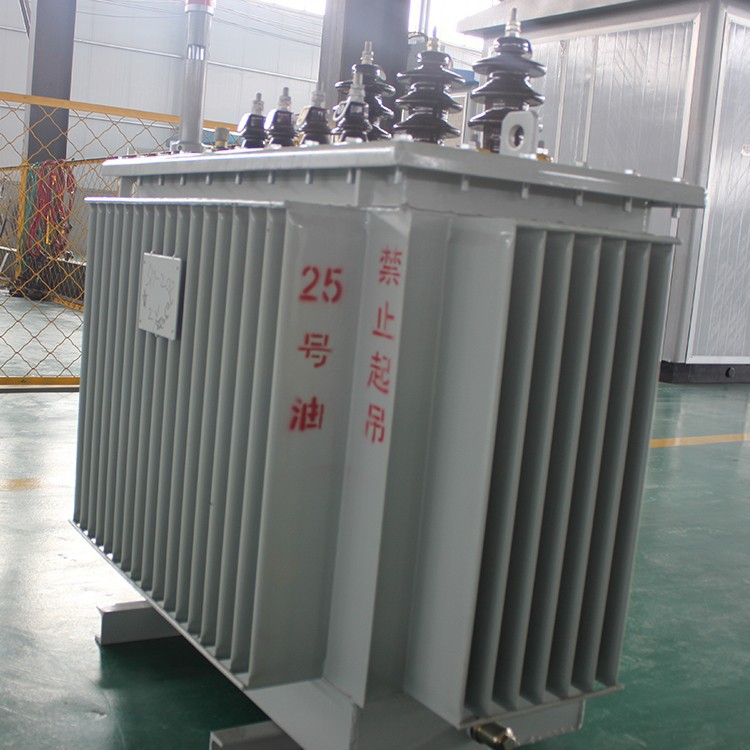 100 KVA 3 Phase Oil Coole Distribution Transformer 3.jpg